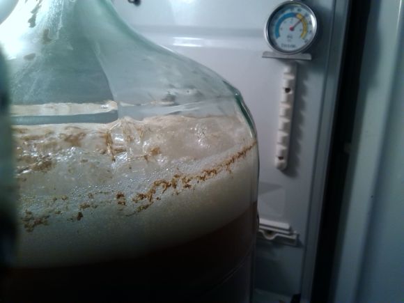 In the lager fridge, just enjoying itself